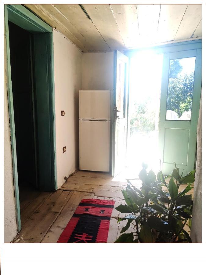 At Gjergj Fishta Apart-House شكودر المظهر الخارجي الصورة